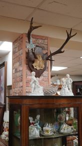 French Oak Antler Wall Mount 2