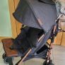buggy Image 2
