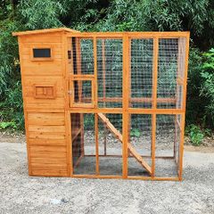 The Cat Camp