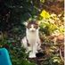 alexf_3672