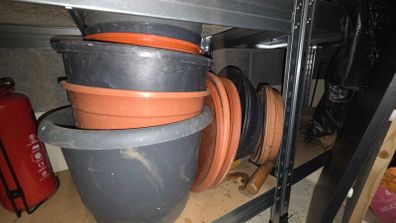 Plastic pots and saucers