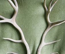 Deer Antlers (30" high)