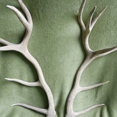 Deer Antlers (30" high)