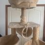 cat tree Image 2