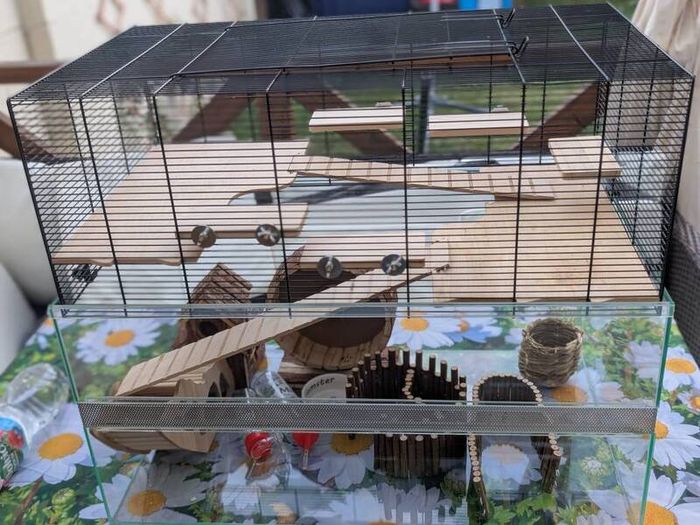 hamster cage