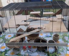 hamster cage