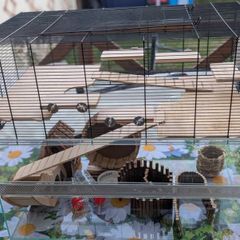 hamster cage