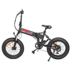 WELKIN Enduro WKES001 Electric Bike