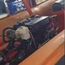 5.5 inboard rib Image 4