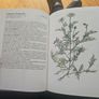Natural Beauty Care With Flowers And Plants. B. Hlava, Z. Krejcova. Hardback In Good Condition.  See Photos For Same. Image 6