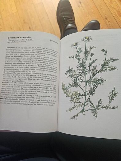 Natural Beauty Care With Flowers And Plants. B. Hlava, Z. Krejcova. Hardback In Good Condition.  See Photos For Same.