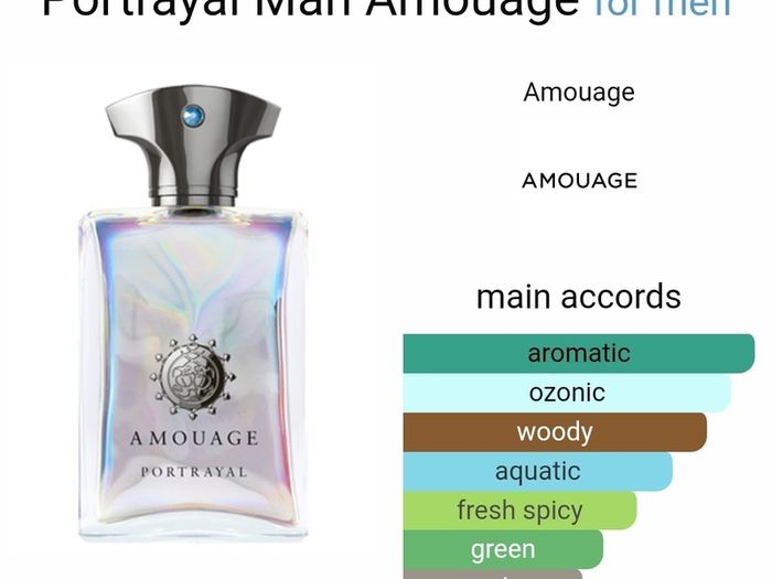 Amouage Portrayal Man