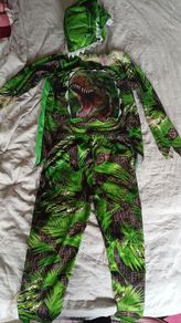 Dinosaur Costume 7-8y