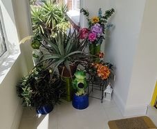 Plants and decorations