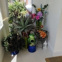 Plants and decorations