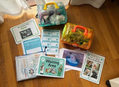 Senior Infant The Vet Role Play