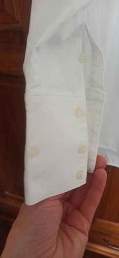 Shirt Tommy