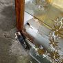 Glass cabin Image 5