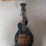 Tanglewood Mandolin Image 3
