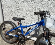 Ridgeback MX20 Kids Bike