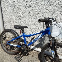 Ridgeback MX20 Kids Bike