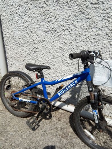 Ridgeback MX20 Kids Bike