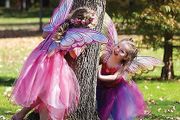 Butterfly Halloween Great Pretenders - Rainbow - Fuchsia w. Glitter