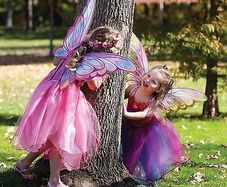 Butterfly Halloween Great Pretenders - Rainbow - Fuchsia w. Glitter