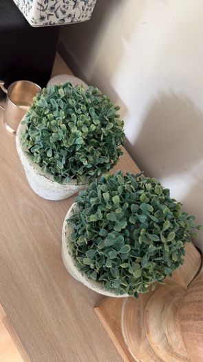 Two pots with faux trees