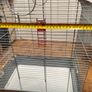Bird cage medium Image 8