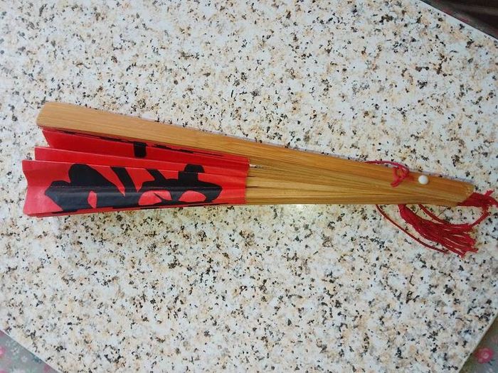 Chinese shan folding fan