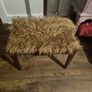 stool Image 2
