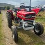 Massey fergusion 133 Image 7