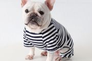 Dog Clothes,Dog Classic Striped Pajamas Soft Cotton Jumpsuit Pug French Bulldog Onesies Costume for Cats Puppy Small Medium Dogs(Black,XS