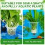 New Upgraded Large Aquarium Plant Holder with Hooks and Suction Cups for Fish Tank Aquaponic Plant Cultivation and Aquascape Accessories Decorations (4 PCS) Transparent Image 8