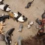 schleich animals figurines toys multiple items x 78 Image 4
