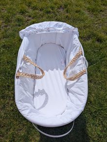 Moses basket