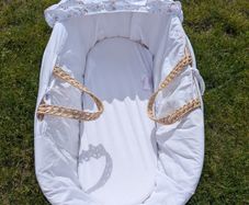 Moses basket