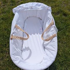 Moses basket