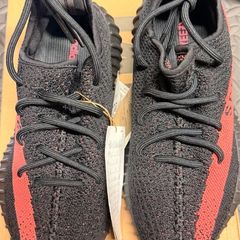 trainers