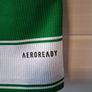 Celtic Jersey. Official Adidas Celtic Home Jersey. Age 11 To 12 Years. Collect In Dublin Or Receive Via Post. Image 4