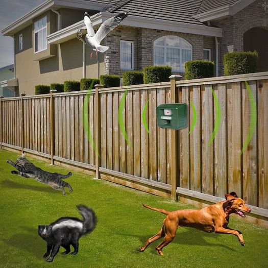 Outdoor Pest/Animal Repeller