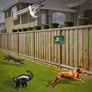 Outdoor Pest/Animal Repeller Image 10