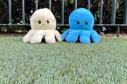 Duo colour octopus plushies