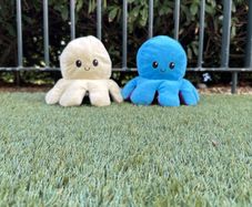 Duo colour octopus plushies