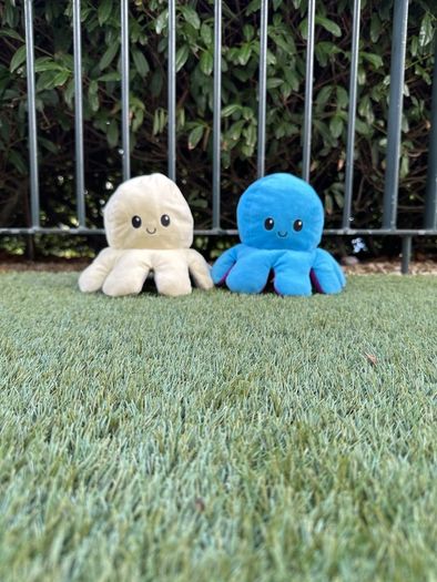 Duo colour octopus plushies