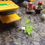 El Diego's stunt plane Lego set no 70429 - full and complete Image 4