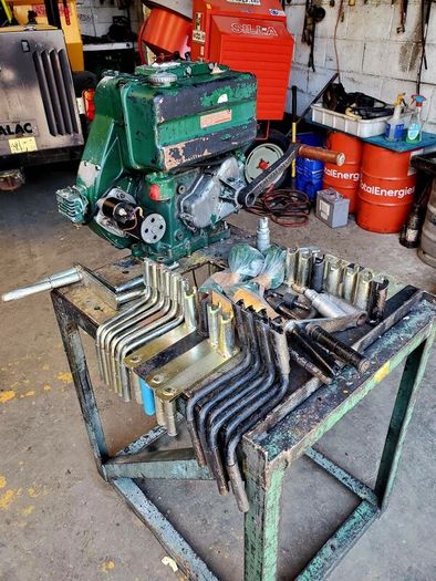 lister starting handle
