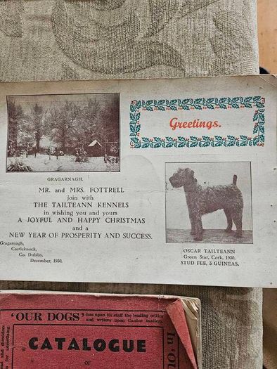 Catalogues Of The 10th & 11th Irish Kennel Club Shows 1931-32. Plus To Stud Cards For Dogs. Paperbacks In Only Fair Condition.  See Photos For Same.