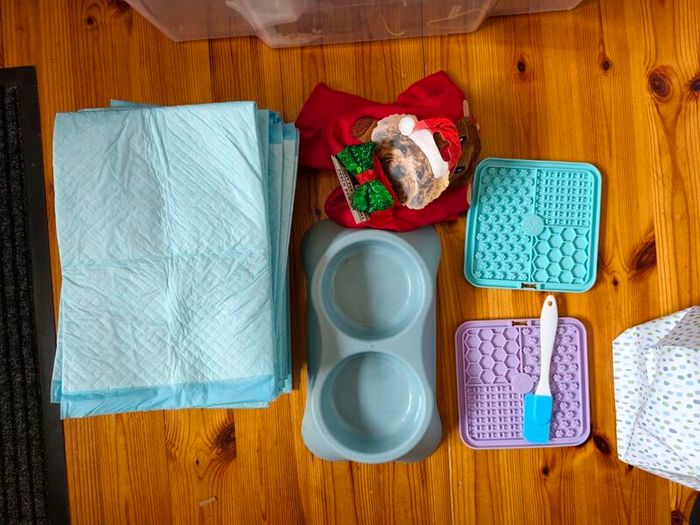 New puppy set, training mats, feeding bowls, lick mats, treat bag